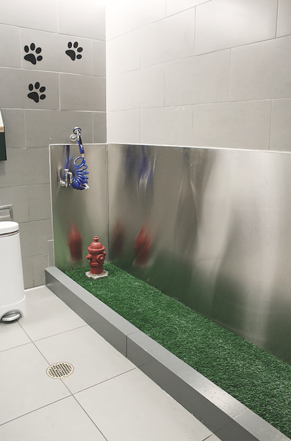 Potty break time! (Photo courtesy JFK International Airport)