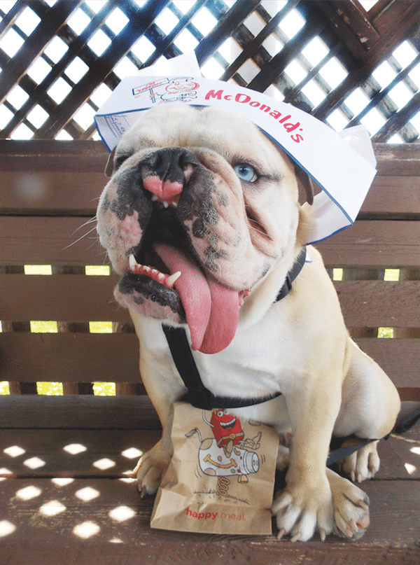 Stanley. (Photo courtesy Deborah Pack)