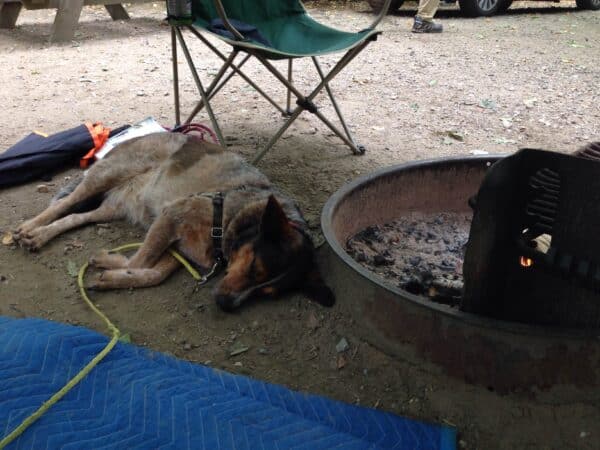 Hanging out a little too close to the fire.