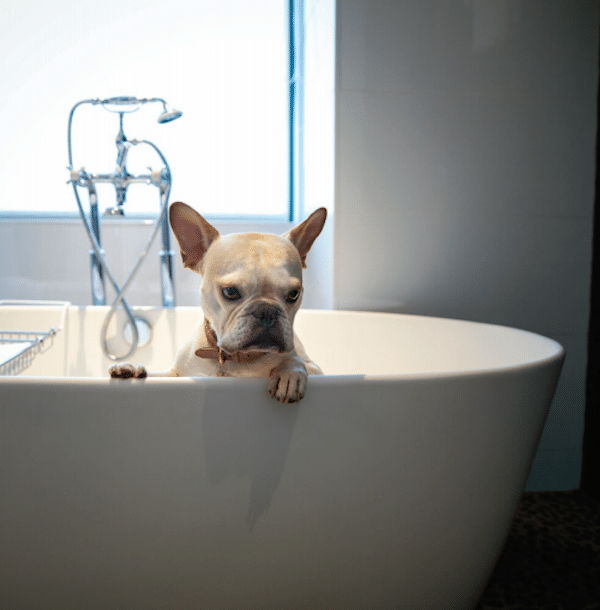 ReneCharlesBath