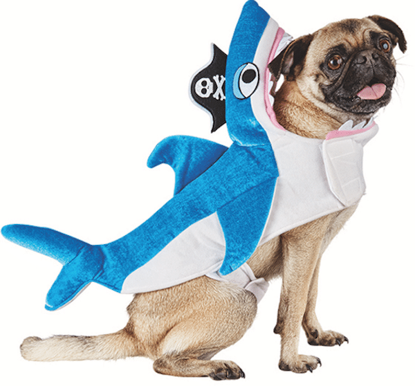 Photo and costume courtesy Petco.