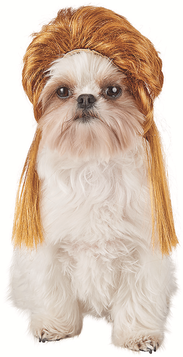 Photo and costume courtesy Petco.