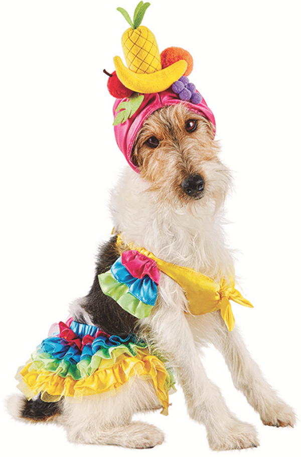 Photo and costume courtesy Petco.