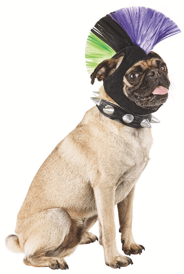 Photo and costume courtesy Petco.