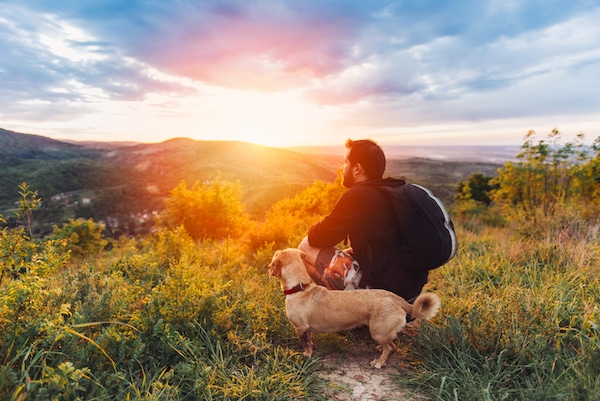 Natural Ways To Help Dogs Poop Natural Ways To Help Dogs Poop