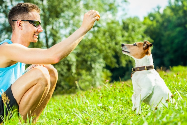 Man training dog with treats by Shutterstock.