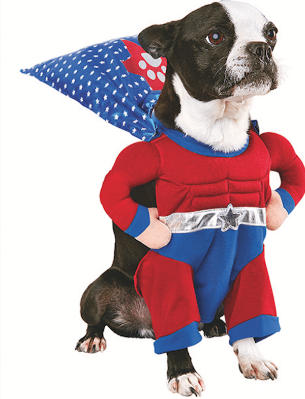 Is One of These Halloween Costumes for Dogs the Right Pick for Your Pup?