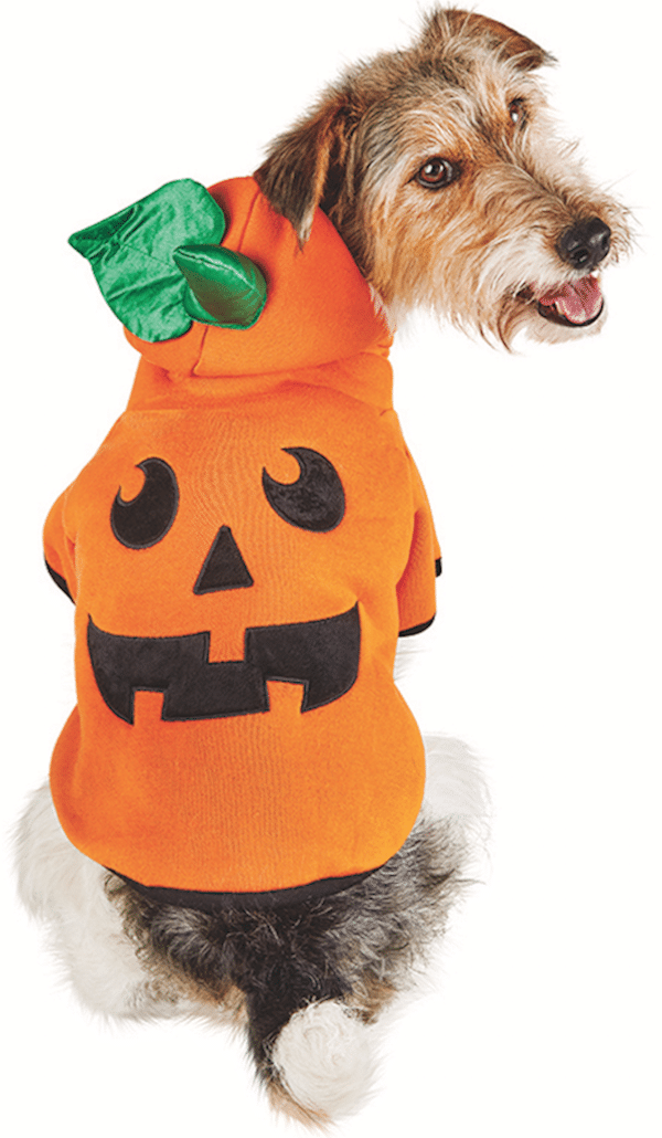 Photo and costume courtesy Petco.