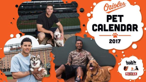 1920x1080_pet_calendar_dgouwx45_y41ng4kt