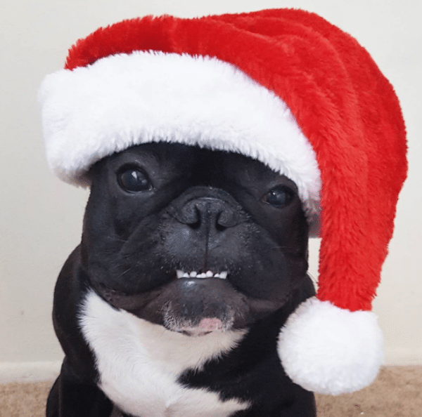SantaNinja