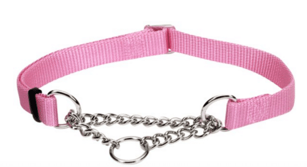 Martingale collars come with a chain loop or a fabric loop. Photo Credit: PetsMart