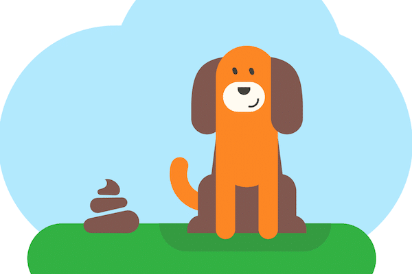 how can i stop my dog eating his own poop