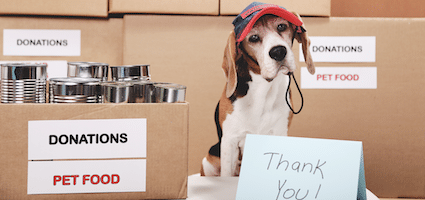 How to Hold a Pet Food Drive for a Rescue or Shelter