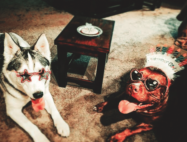 Juicy, left, and Moni. (Photo courtesy Danny Shelton)