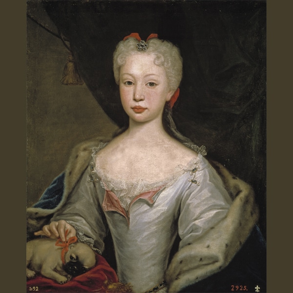 pugs bred to hunt lions