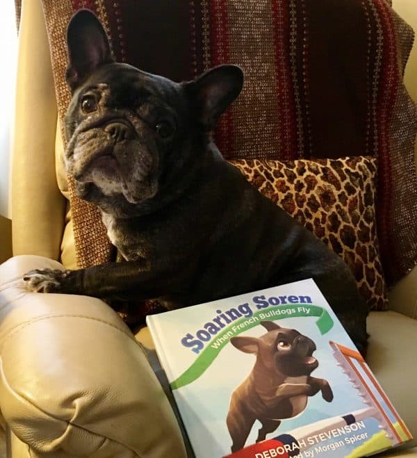 French Bulldog courtesy Deb Stevenson