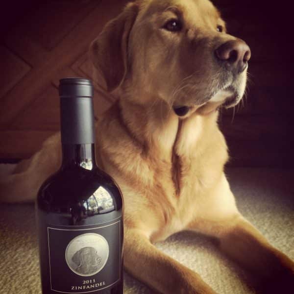 The real life Spencer poses with a bottle of the Spencer Cabernet, from Kinsella Estates which is named after him. (All photos courtesy Paten Hughes)