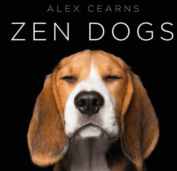 ZenDogsCover