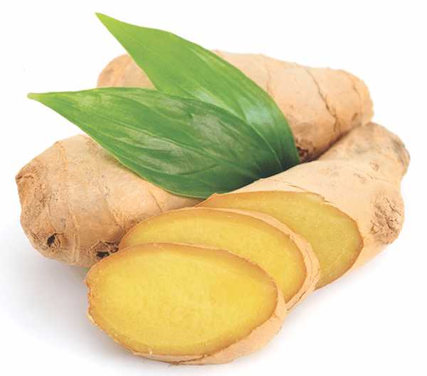 ginger