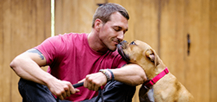 lucky dog training collar