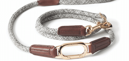 Most stylish dog collars Clearance