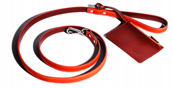 leash