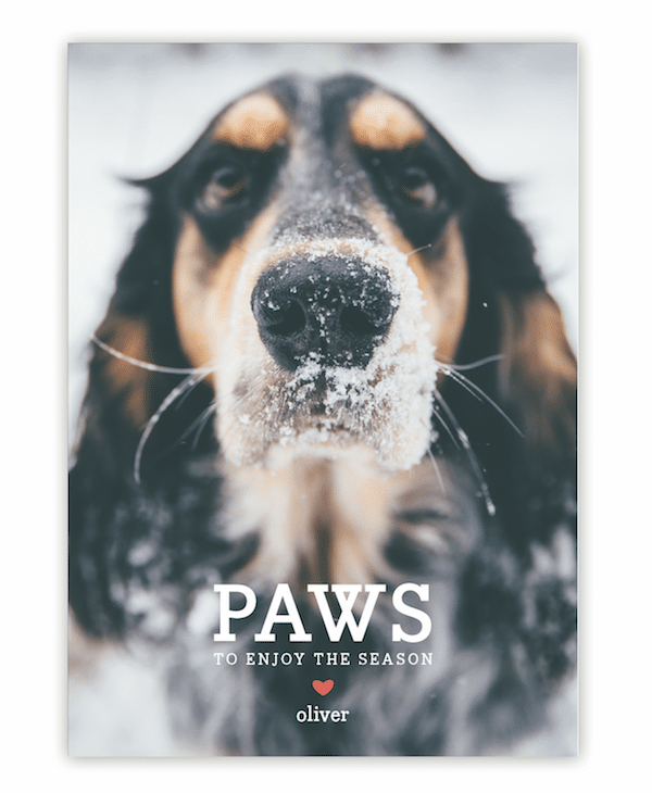 paws