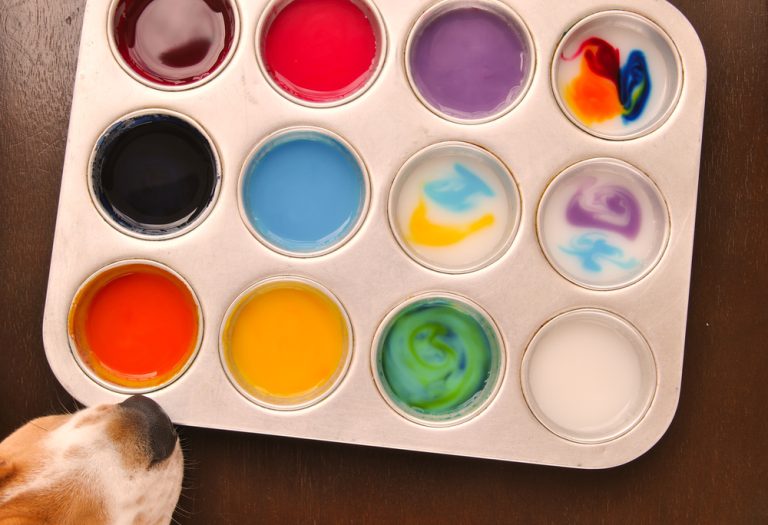 Dog Safe Paint: Vet-Approved Guide – Dogster