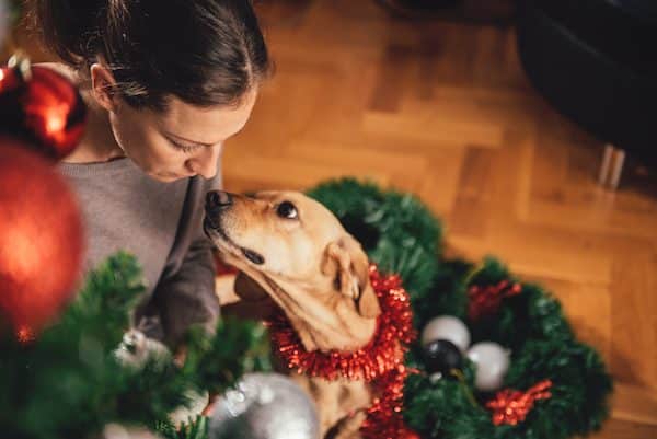 Woman, dog and Christmas tree.