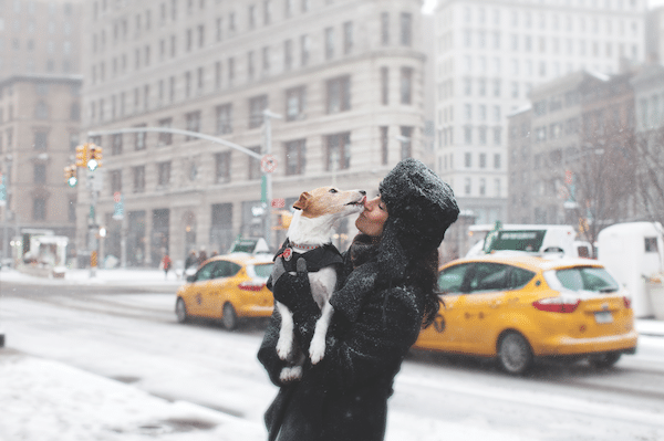 A woman getting kissed by a dog on a snowy New York City street.