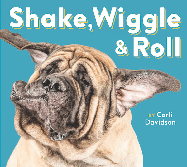 Carli Davidson's new books Shake, Wiggle & Roll and Heads & Tails are out Spring 2017.