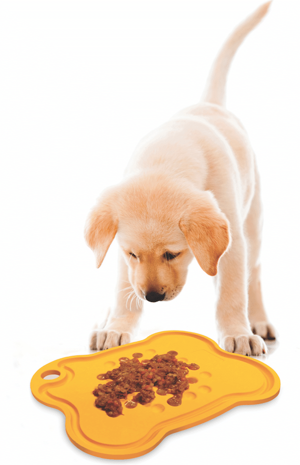 tjpetplatter