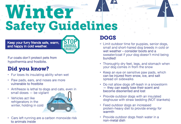 See if your local humane society offers a winter guidelines pamphlet, like <a href="https://www.edmontonhumanesociety.com/sites/default/files/pdf-uploads/cold_weather_guidelines_web.pdf">this one from the Edmonton Humane Society</a>.