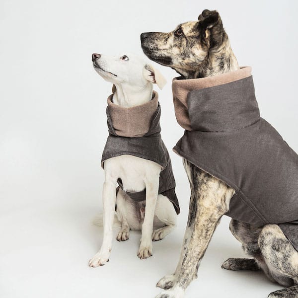 We Re Obsessed With These Cozy Winter Essentials For Dogs
