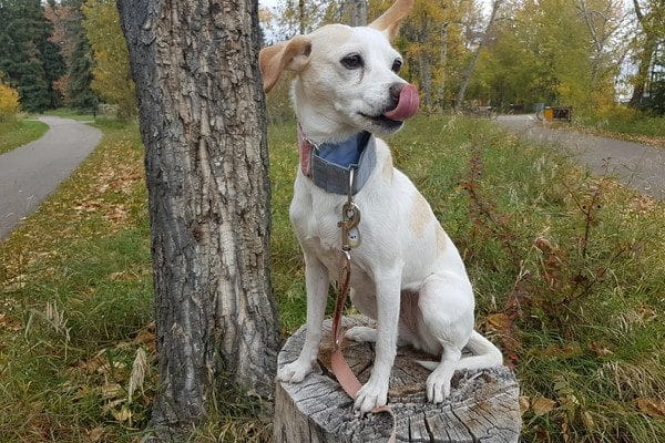 My Marshmallow on a much happier day.