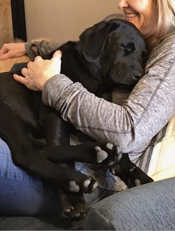 What Kind of Cuddler Is Your Dog? Dogster