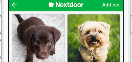 nextdoor lost dogs