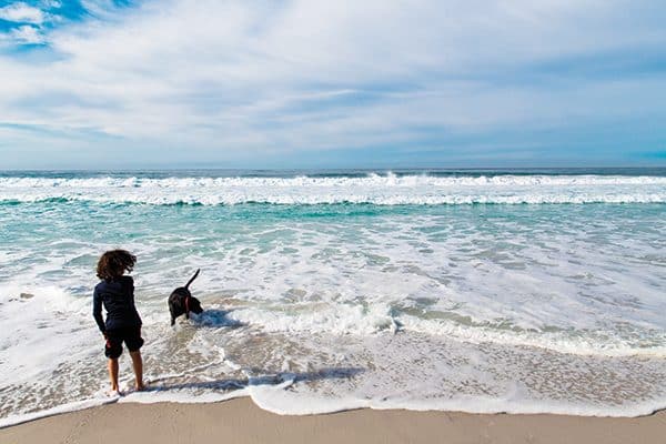 Take your dog off leash at the world famous beautiful Carmel Beach. 
