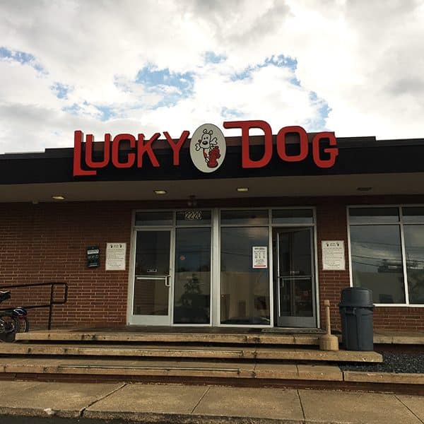 Lucky Dog Bark and Brew is an indoor/outdoor dog park with beer. 