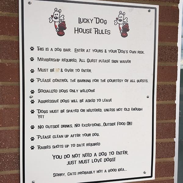 Lucky Dog’s house rules say you don’t need a dog to enter, you just need to love dogs.