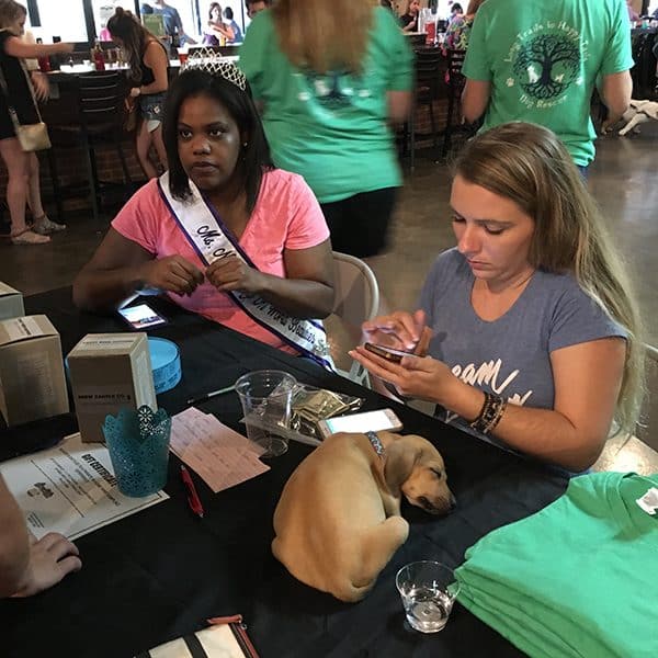 A sweet puppy looking for a forever home takes a nap during the event. 