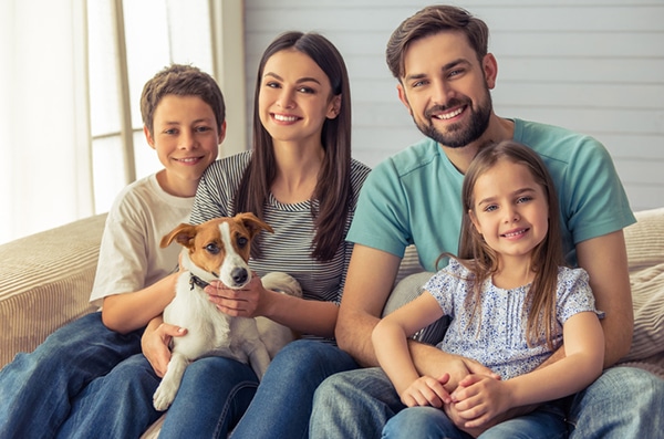 cheap dog treats for training