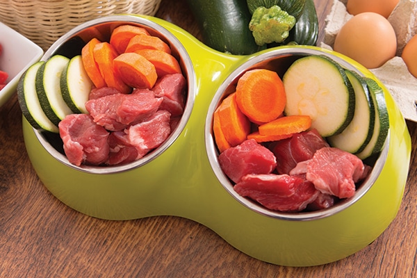 A dog bowl filled with raw dog food.
