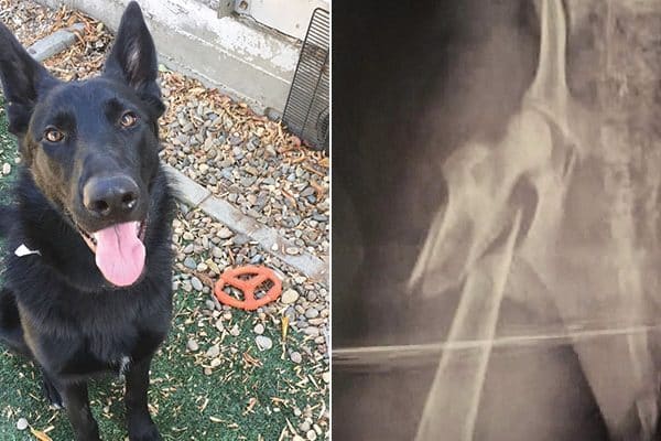 River and a broken femur.