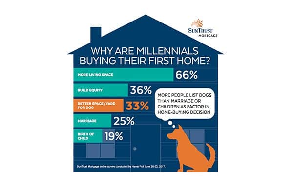 Stats show that more millennials are buying homes for their dogs. Infographic courtesy SunTrust Mortgage.