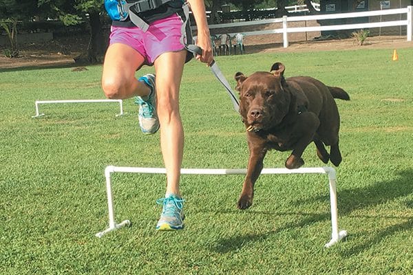 A woman jumping with a dog.