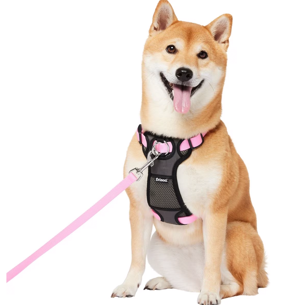 Frisco Padded Nylon Dog Harness