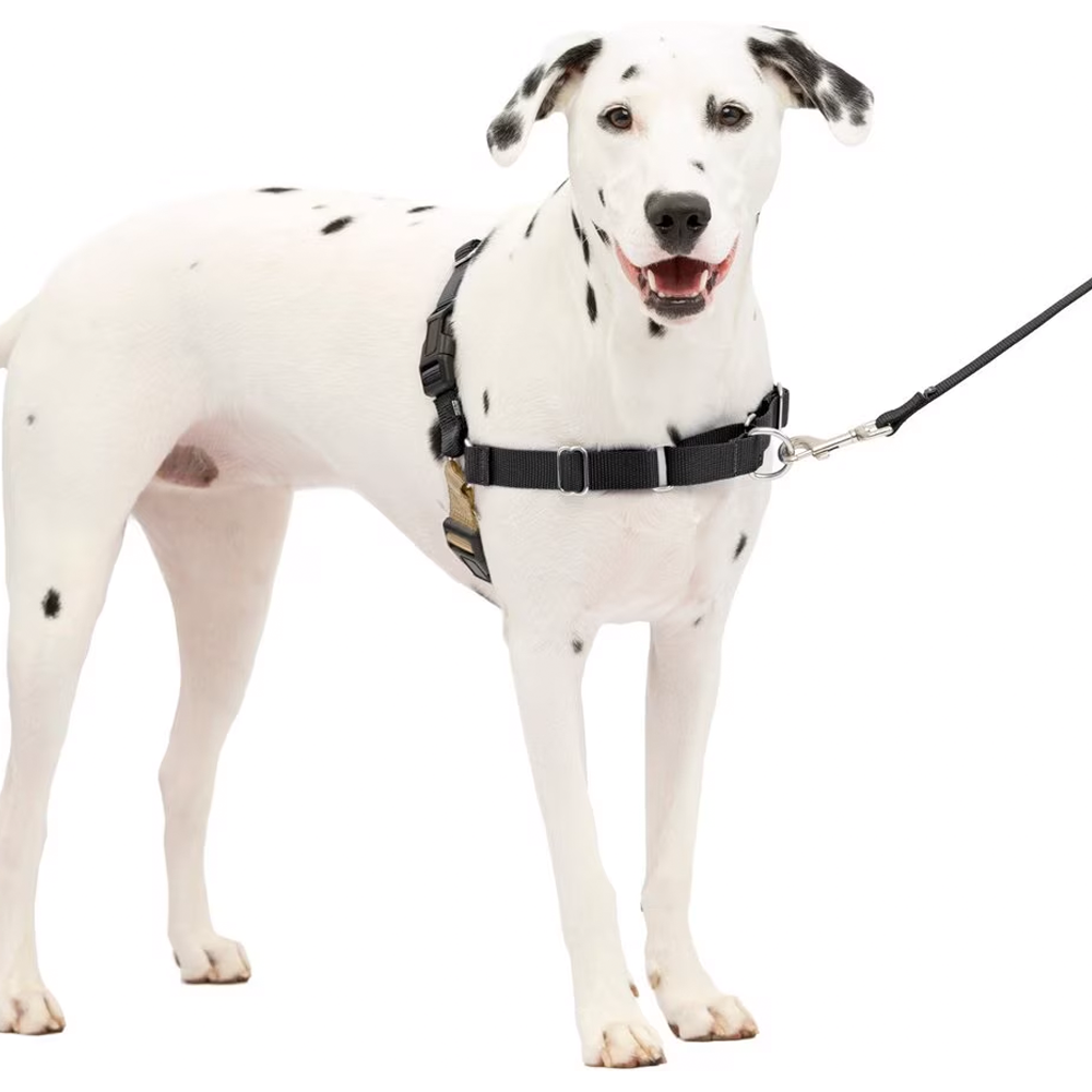 PetSafe Easy Walk Dog Harness