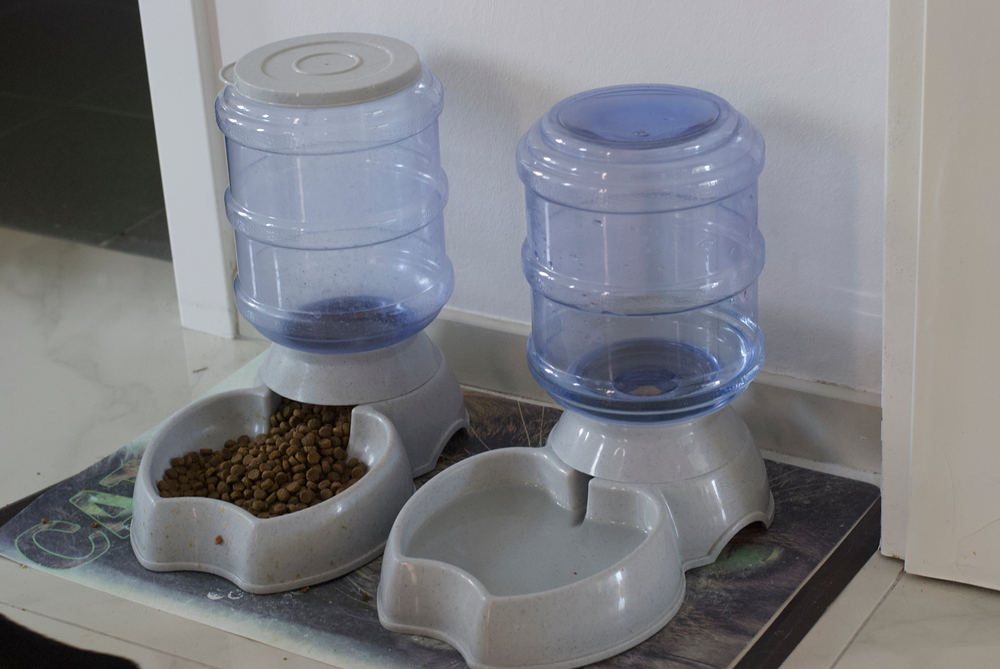 gravity dispenser of food and water for pets