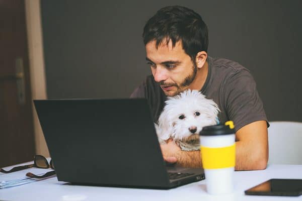 A man holding his dog as he types on the computer.